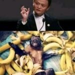 The richest man in China said