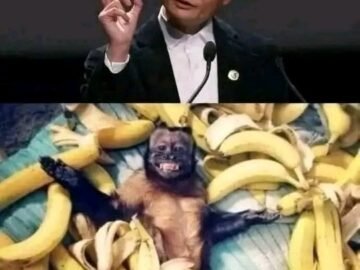 The richest man in China said